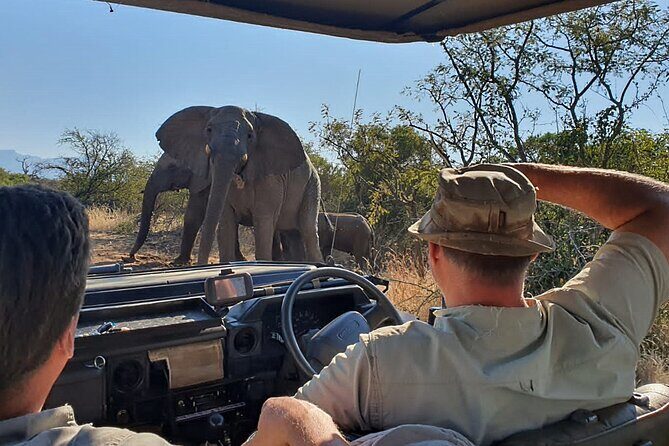 Exclusive Morning Game Drive Safari near Hoedspruit - Coffee, rusks, and a cool start you’ll appreciate later