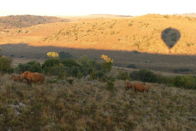 Exclusive Safari Flight - Sunrise drifting and the champagne tradition