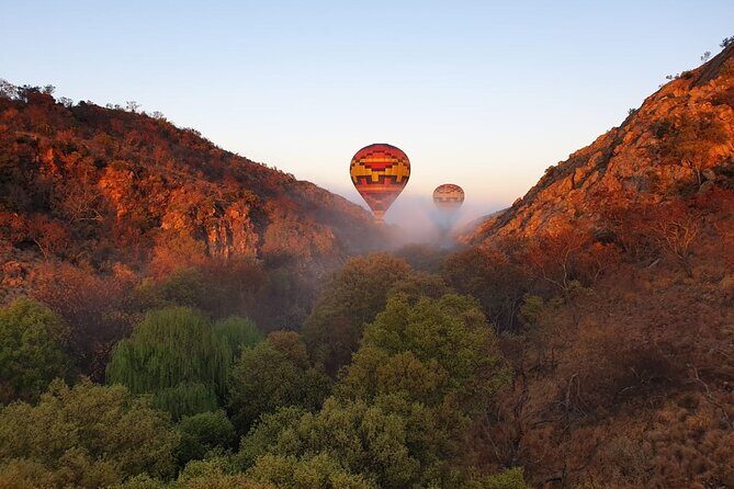 Exclusive Safari Flight - Comfort, weather, and what you actually need to do