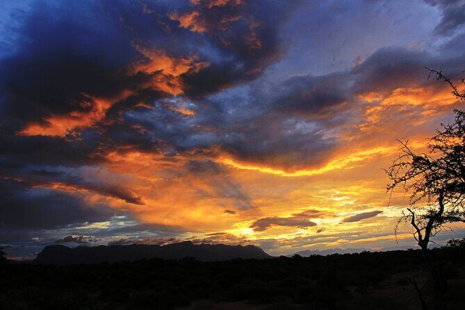 Exclusive Sunset Game Drive Safari near Hoedspruit - Key highlights worth your attention