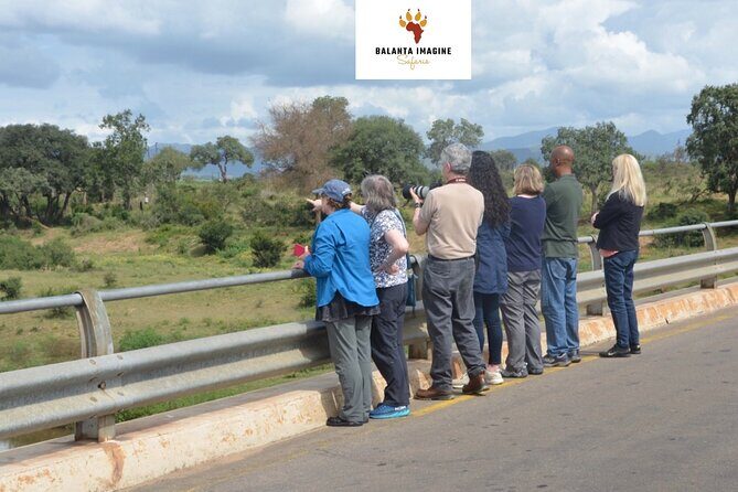 Exhilarating 7 Day Kruger Safari Adventure - South to North - Day 1–2 in southern Kruger: sunset drives and that first braai moment
