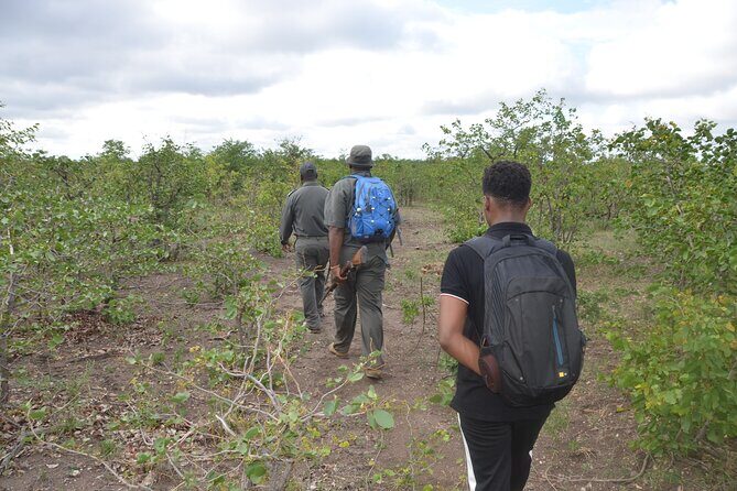 Exhilarating 7 Day Kruger Safari Adventure - South to North - Day 5 northward to Mopani/Shingwedzi/Punda Maria: the river drive feeling