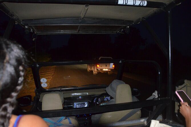 Exhilarating 7 Day Kruger Safari Adventure - South to North - Day 7 back to Johannesburg: spotting on the way out