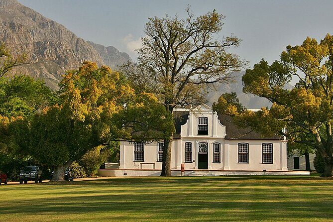 Experience 16 Wine Tasting & 6 Cheese Pairing across 3 Vineyards - A Private 9:00 AM Wine Route Through Paarl