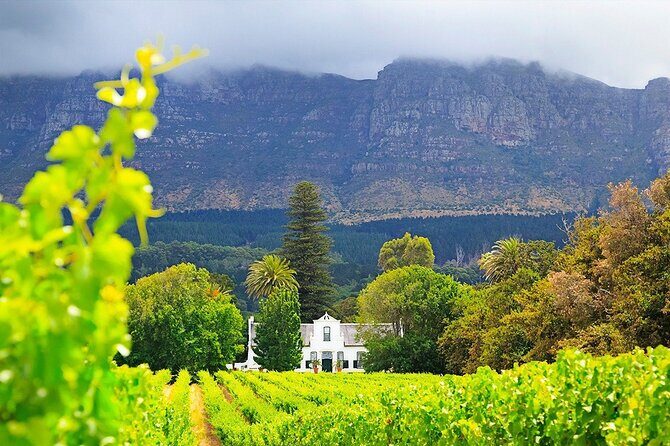 Experience 16 Wine Tasting & 6 Cheese Pairing across 3 Vineyards - Customization and How the Day Can Feel Different