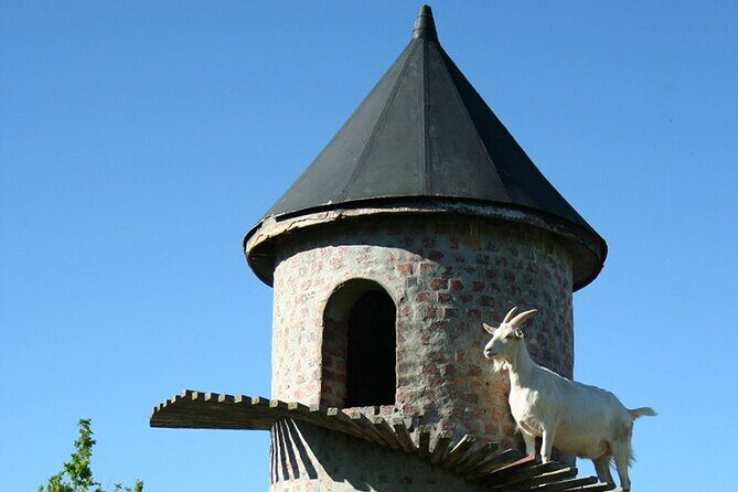 Experience 16 Wine Tasting & 6 Cheese Pairing across 3 Vineyards - Practical Tips for a Smooth 6–7 Hour Day