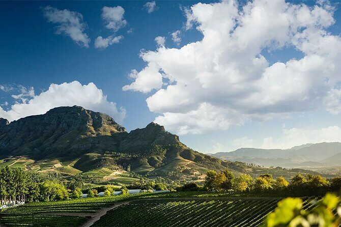 Experience 16 Wine Tasting & 6 Cheese Pairing across 3 Vineyards - Lanzerac’s Historic Estate and the Pinotage-Chardonnay Focus