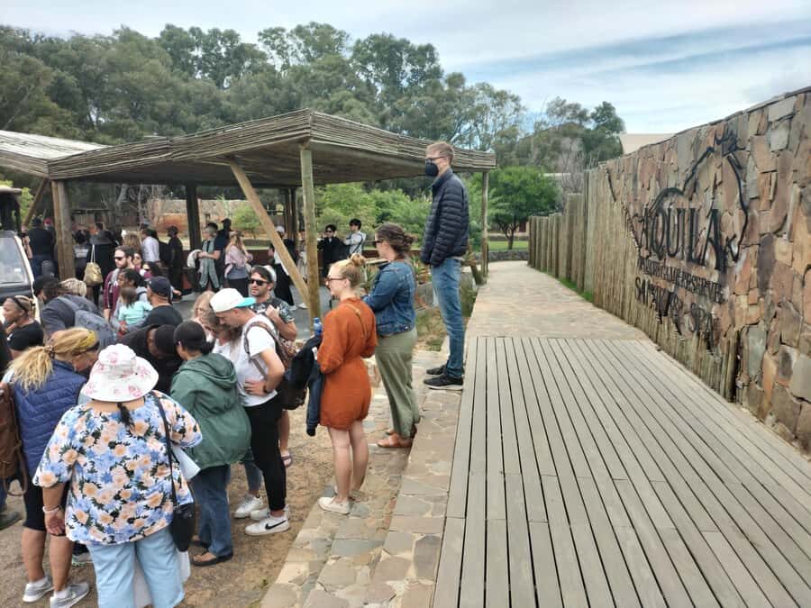 Experience an Amazing Big5 Safari near Cape Town! - The 2.5 to 3 hour game drive: how your ranger works the sightings