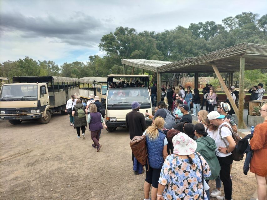 Experience an Amazing Big5 Safari near Cape Town! - Who should book this Big Five safari (and who should think twice)