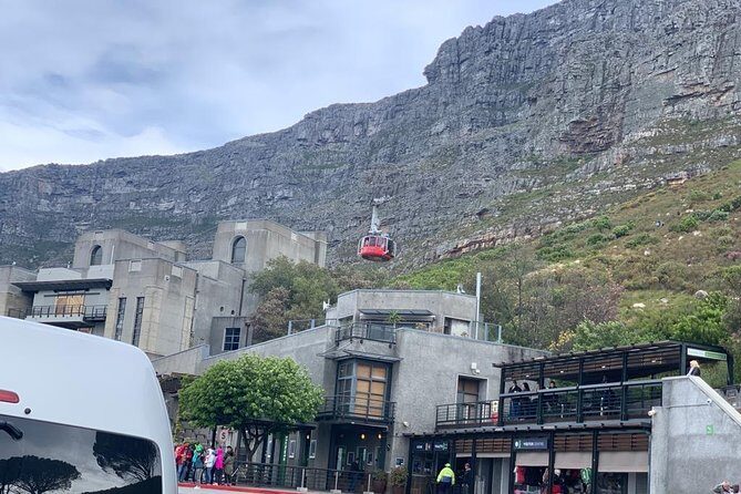 Experience views of Cape Town with Robben Island &Table Mountain full day tour - The ferry from V&A Waterfront: views, seals, and time to breathe