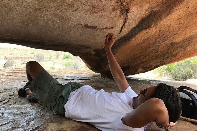 Explore ancient rock art on a private guided trip from Cape Town - Quick take