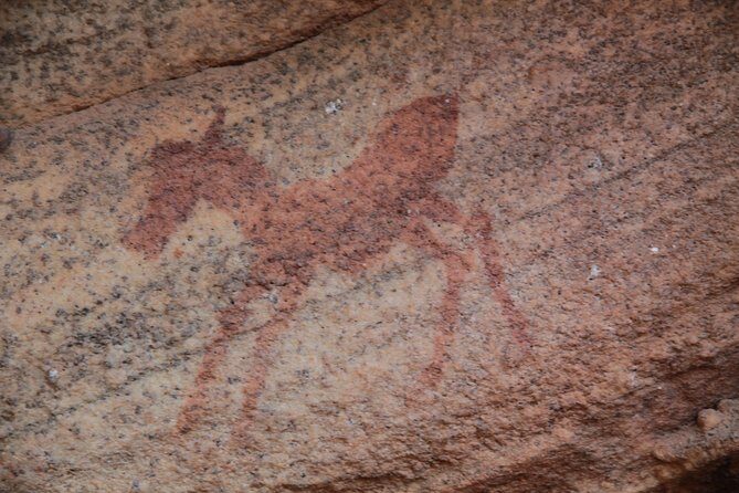 Explore ancient rock art on a private guided trip from Cape Town - Guide-led commentary with Callan: the value of being taught how to see