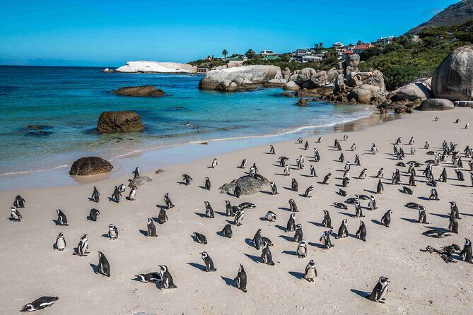 Explore Cape of Good Hope and Boulders Beach Private Tour - Cape of Good Hope and Cape Point: Lighthouse Views and Optional Funicular