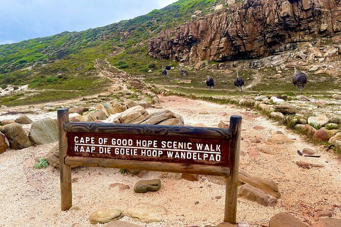 Explore Cape of Good Hope and Boulders Beach Private Tour - Muizenberg Beach: A Colorful Finish to Your Coast Day