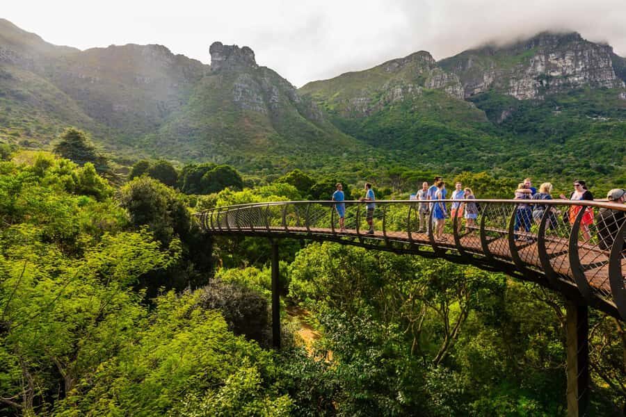 Explore Table Mountain, Kirstenbosch, & Constantia wineries. - FAQ