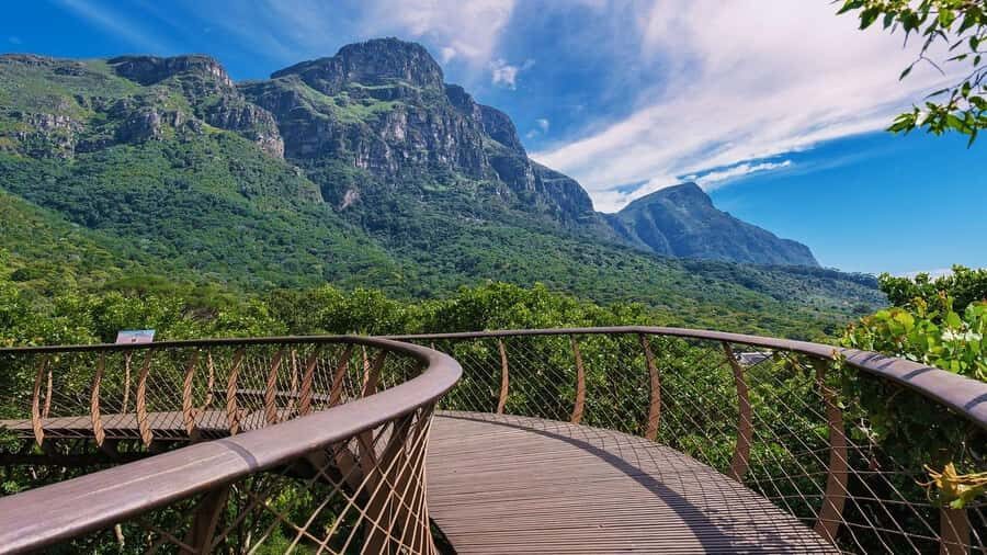 Explore Table Mountain, Kirstenbosch, & Constantia wineries. - Kirstenbosch National Botanical Garden: UNESCO gardens with a guided walking rhythm