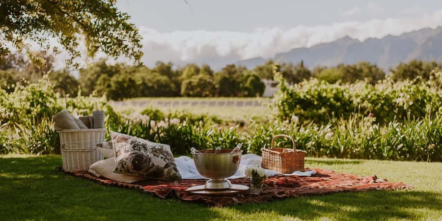 Explore Table Mountain, Kirstenbosch, & Constantia wineries. - Constantia wineries: tasting, estate time, and shopping in South Africa’s wine country