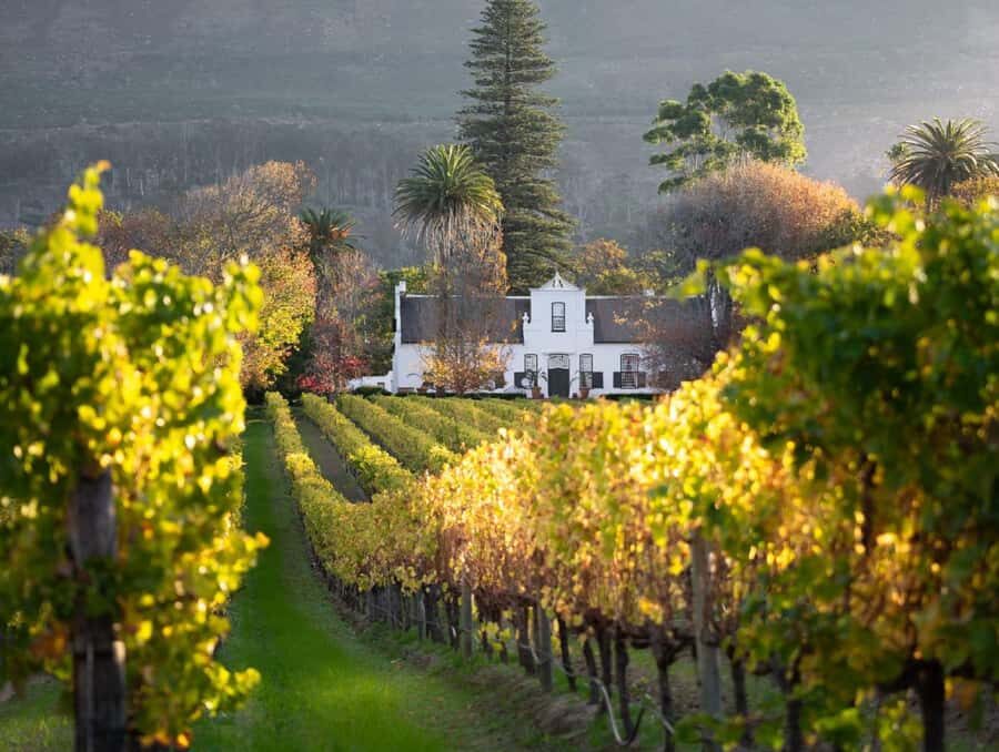 Explore Table Mountain, Kirstenbosch, & Constantia wineries. - Price and value: what’s included in $155 (and what you’ll pay extra)