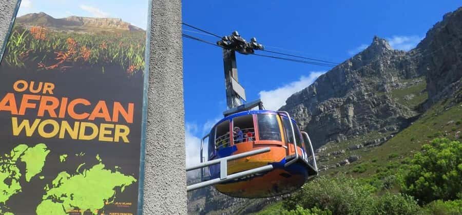 Explore Table Mountain, Kirstenbosch, & Constantia wineries. - Who this tour fits best (and who should consider another style)