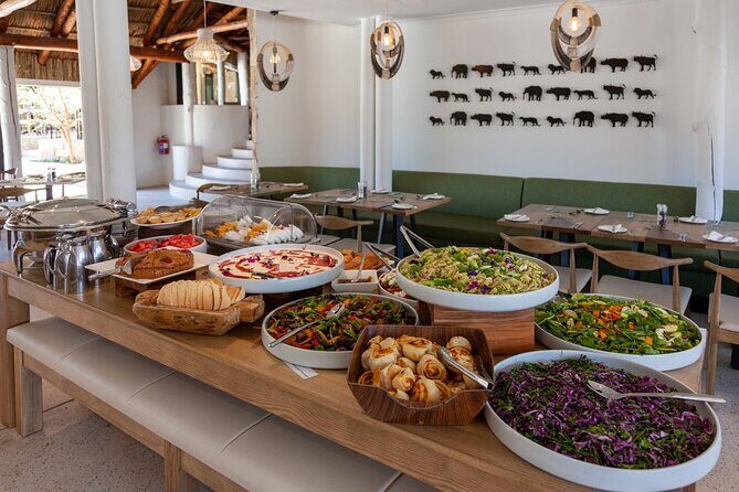 Explore the best Big 5 Aquila Safari Tour and Wine Tasting - What to pack and how to plan your day