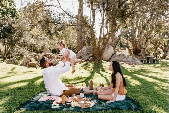Family Friendly Wine Tour Cape Town - Franschhoek Town: A Breather With Real Architecture and Vineyards Nearby