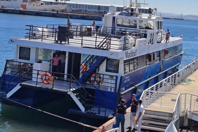 Ferry Tour to Robben Island Museum with One Way Hotel Transfer - Timing, walking, and group limits: what “4 hours 30 minutes” feels like