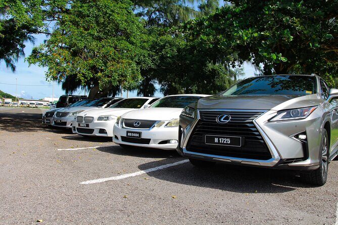First Class Private Transfers from UVF Airport To Any SANDALS Resort (Roundtrip) - Key Points That Actually Matter on Transfer Day