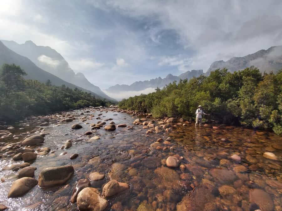 Fly Fishing in Cape Town - Fishing Tactics You’ll Actually Use: Light Tackle, Stalking, and Sight Fishing