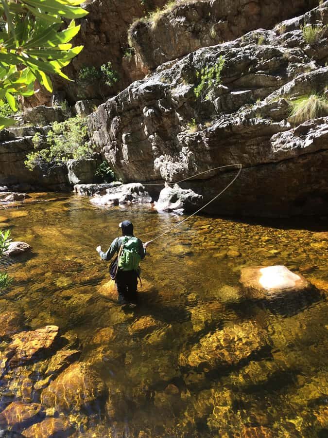 Fly Fishing in Cape Town - Catch and Release With Responsible Practices: Why It Matters