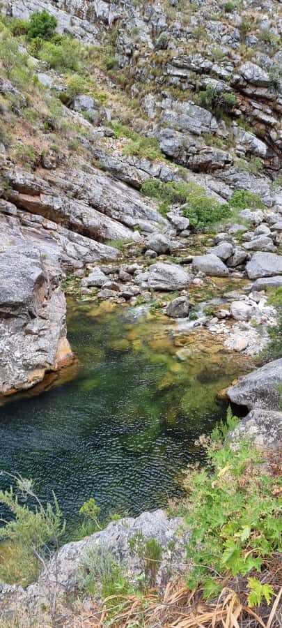 Fly Fishing in Cape Town - Your Guide and the Coaching Factor: What Helps You Catch More