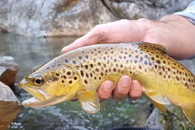 Fly Fishing in Cape Town for Five Hours - Where the day starts: Du Kloof Lodge and an 8:00 am rhythm