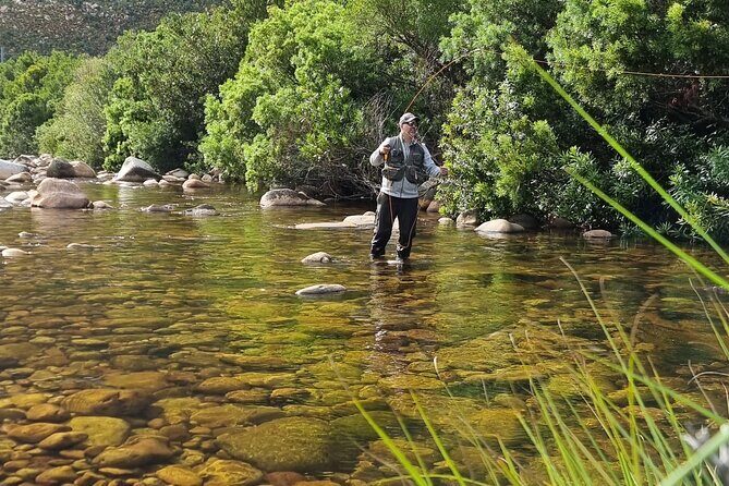 Fly Fishing in Cape Town for Five Hours - Who this trip suits best (and who might want to rethink it)