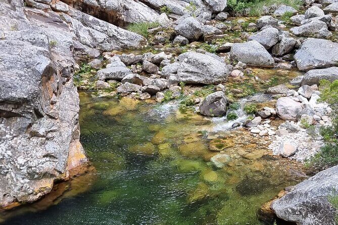 Fly Fishing in Cape Town for Five Hours - Freshwater Cape Streams: sight-fishing wild trout in clear water