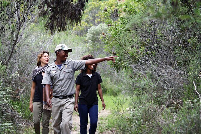 Forest Walk with Picnic and Wildife Tour - The 2-Hour Forest Walk: Giant Hardwood Trees, Logging History, and Bird-Spotting