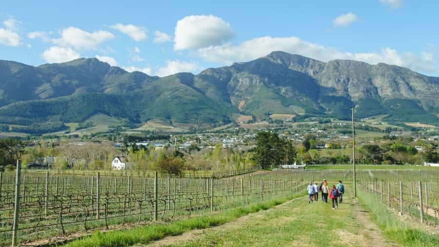 Franschhoek: An enchanting storytelling walk to 3 wine farms - The Wine Tastings: 10 Sips, Three Different Farm Personalities
