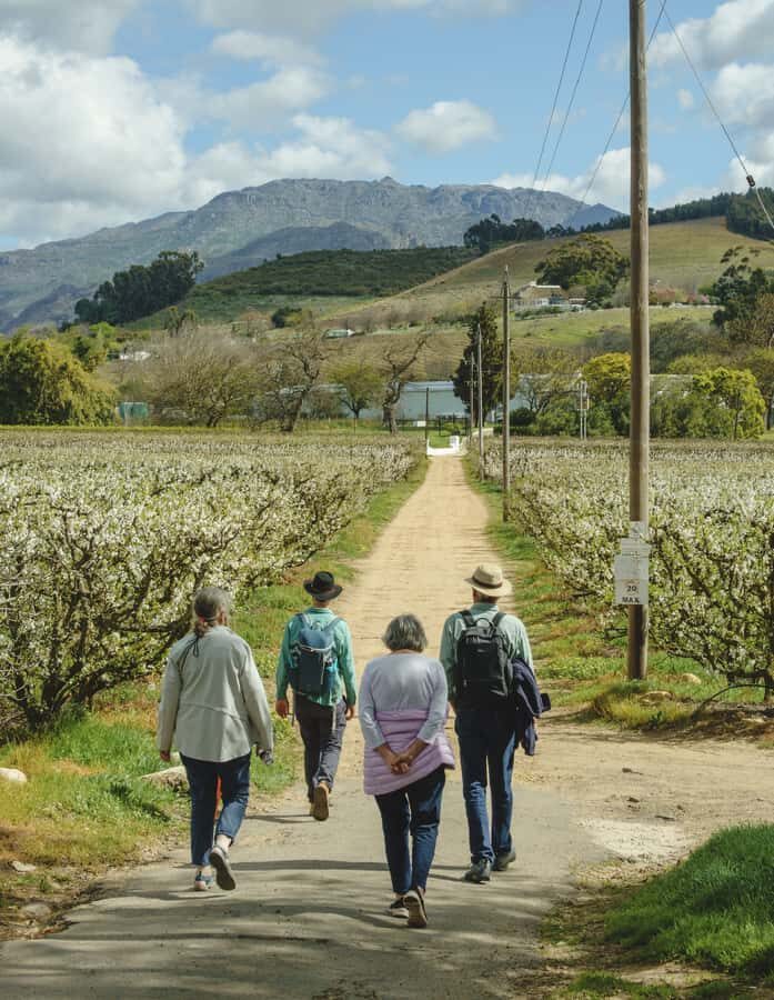 Franschhoek: An enchanting storytelling walk to 3 wine farms - The Walk Itself: 4 Kilometres of Views Without a Slog
