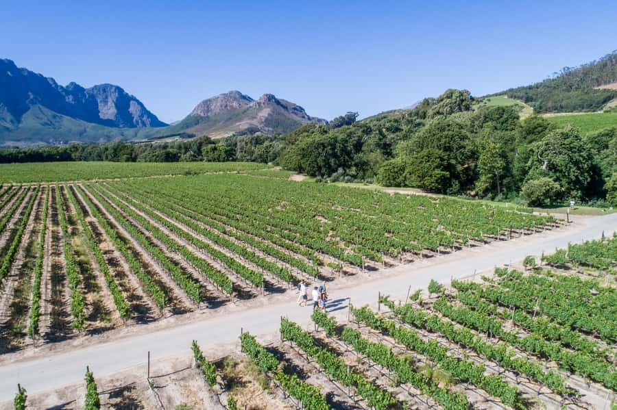 Franschhoek: An enchanting storytelling walk to 3 wine farms - The Storytelling Angle: Why This Tour Feels Different Than a Standard Tasting Day