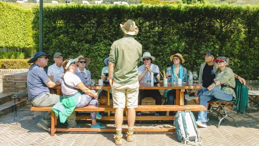 Franschhoek: An enchanting storytelling walk to 3 wine farms - Practical Tips That Make the Day Smoother