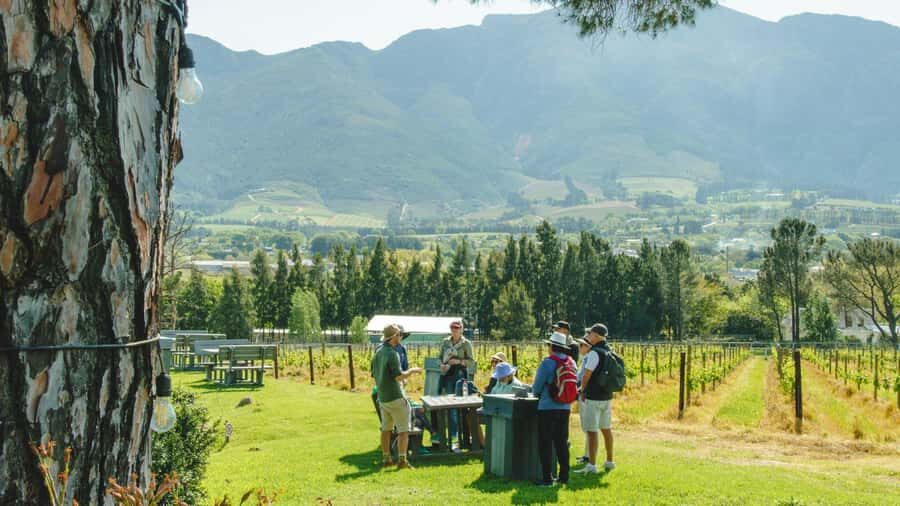 Franschhoek: An enchanting storytelling walk to 3 wine farms - Starting at the Dutch Reformed Church and Finding the Road to the Vineyards