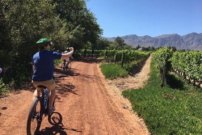 Franschhoek Cycle Experience Half Day - Private Tour - Grand Provence Estate: bronze sculptures and an art stop that feels different