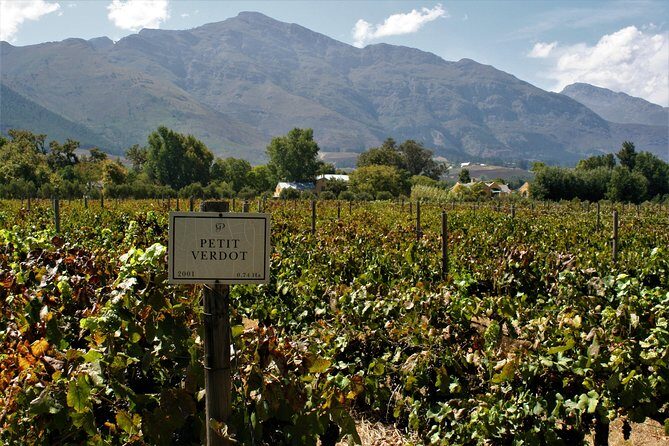 Franschhoek Cycle Experience Half Day - Private Tour - Mont Rochelle: panoramic views with wine tasting and a lunch pause