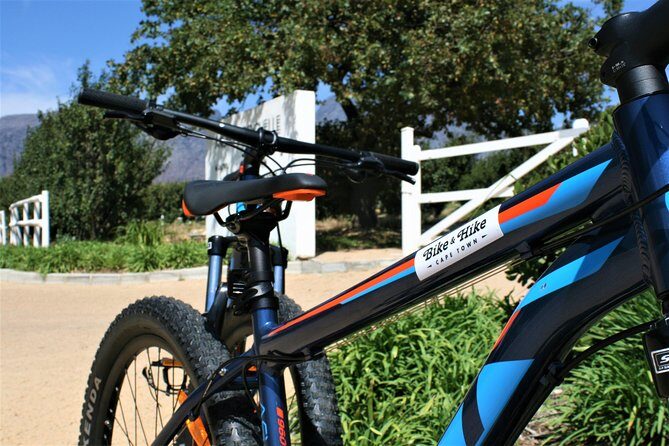 Franschhoek Cycle Experience Half Day - Private Tour - Leeu Estates on request, then Holden Manz as a flexible add-on
