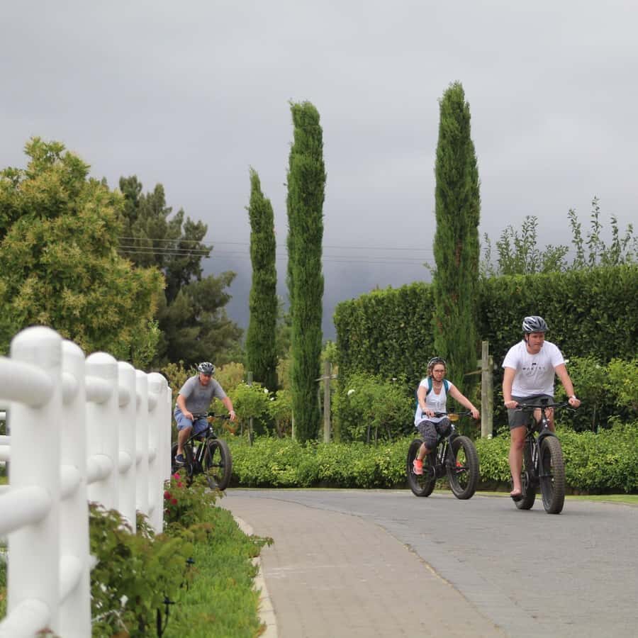 Franschhoek: E-Bike Guided Winery Tour - Entering Franschhoek by e-bike, not by car