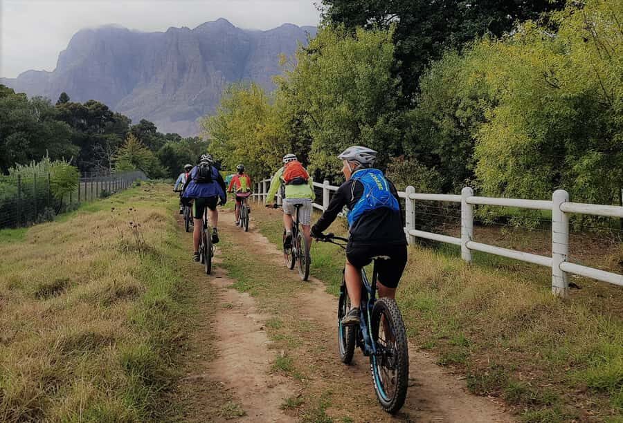 Franschhoek: E-bike Tour with Wine Tasting and Lunch - Stellenbosch to Franschhoek on an E-bike: why it works