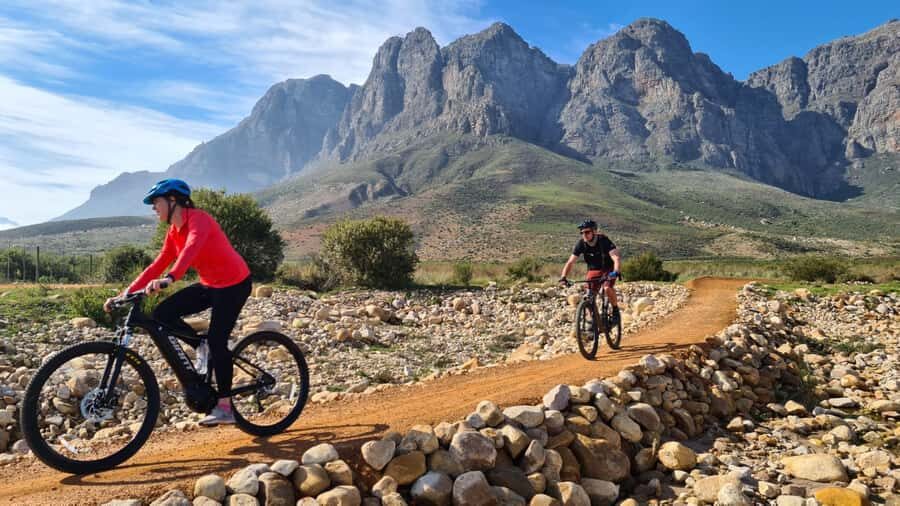 Franschhoek: E-bike Tour with Wine Tasting and Lunch - What $202 gets you, and whether it’s a good deal