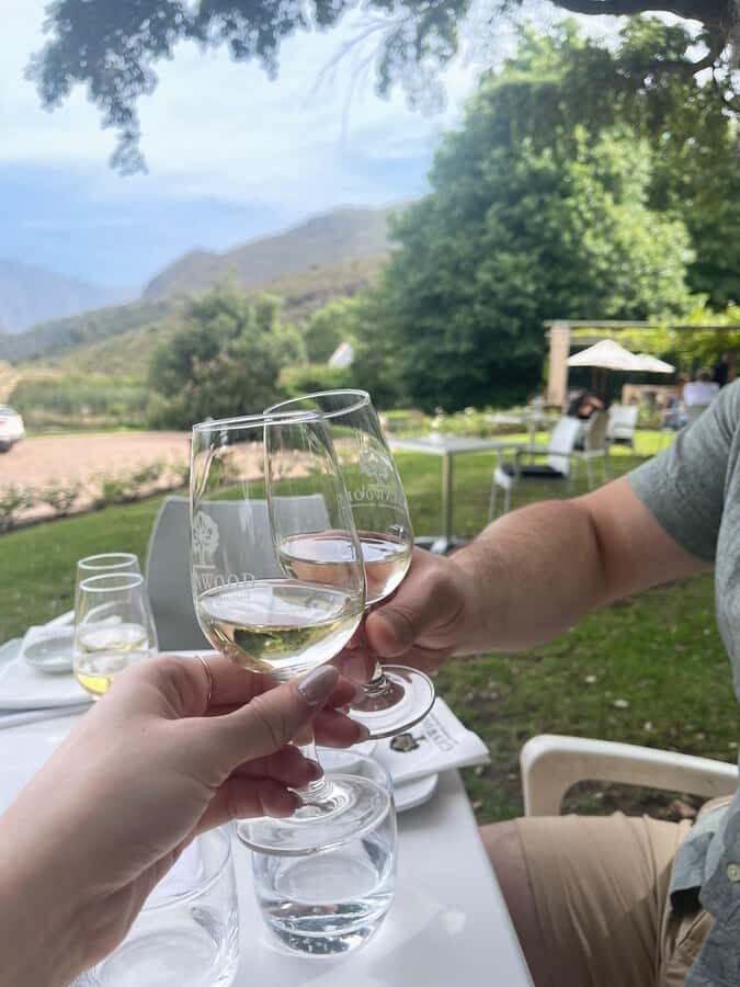 Franschhoek E-Bike & Wine Tour - Key highlights you should actually care about