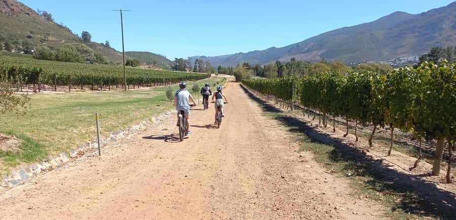Franschhoek E-Bike & Wine Tour - Riding into Franschhoek: why an e-bike beats a bus day
