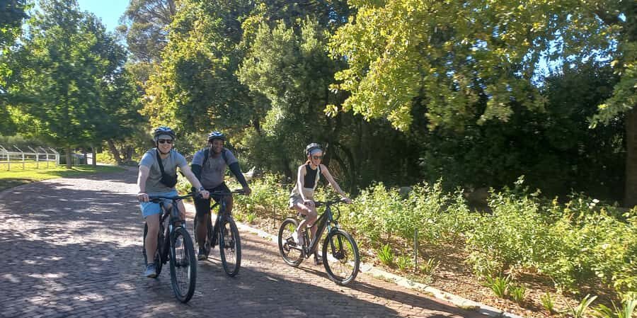 Franschhoek E-Bike & Wine Tour - The ride: distance, pace, and what 4.5 hours really means
