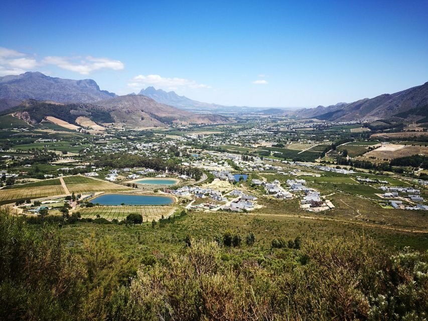 Franschhoek E-Bike & Wine Tour - Guides make or break it: expect strong storytelling in English