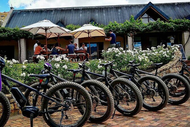 Franschhoek E-Bike Wine Tour (Half Day) - Choosing morning or afternoon: when timing changes the vibe